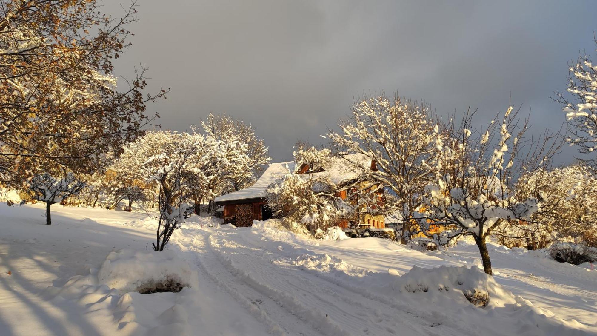 Chalet Mounette Ski Sauna Lac Embrun Puy-Sanieres Buitenkant foto